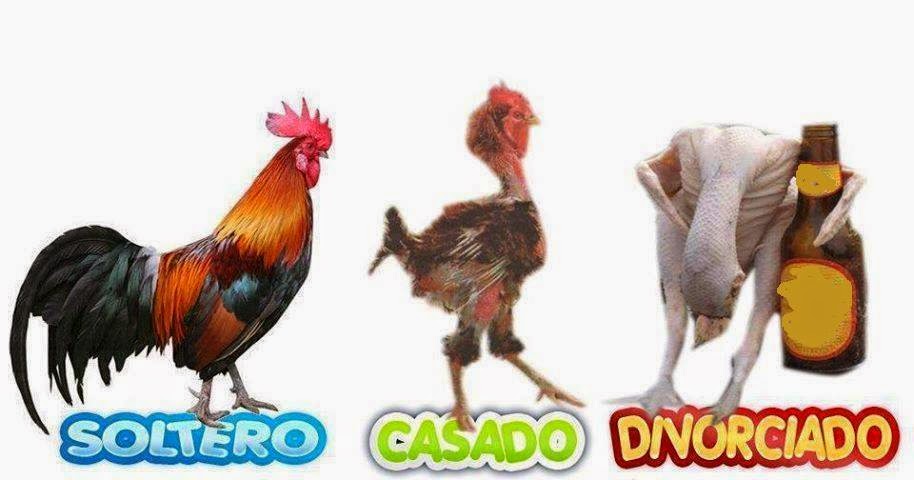 hombre soltero casado y divorciado